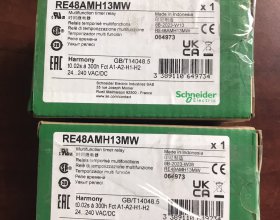 RƠ LE THỜI GIAN SCHNEIDER RE48AMH13MW